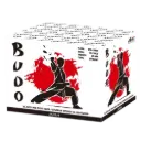 AP11 – BUDO, POWERBLOCK