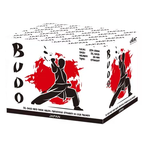 [ap11] AP11 – BUDO, POWERBLOCK